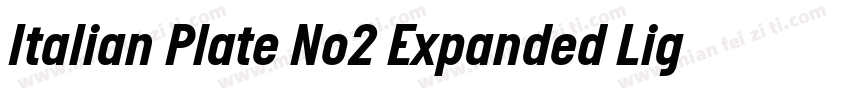 Italian Plate No2 Expanded Light字体转换